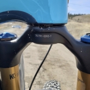 2019 Kona Process 153 White