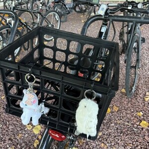 2025 Nishiki Alloy step through Black