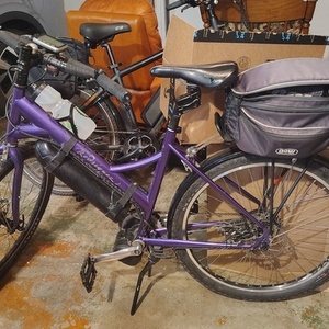 2020 Rodriguez Disruptor