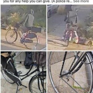 1976 Gazelle Tour Populair Black