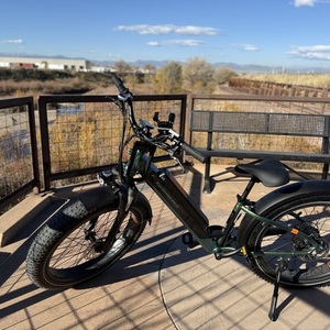 2025 Rad Power Bikes Rad Rover 6 Plus step thru Green