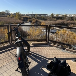 2025 Rad Power Bikes Rad Rover 6 Plus step thru Green