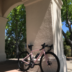 2021 Specialized Tarmac SL7 Expert Pink