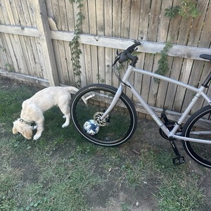 2023 REI Co-op CTY 1.1 Bike, XL Frame