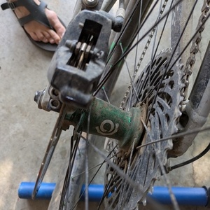 2020 Ibis RipMo AF Silver, gray or bare metal