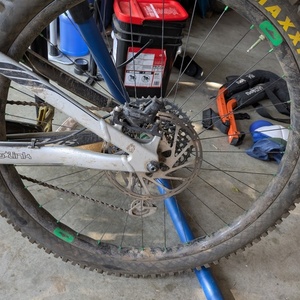 2020 Ibis RipMo AF Silver, gray or bare metal