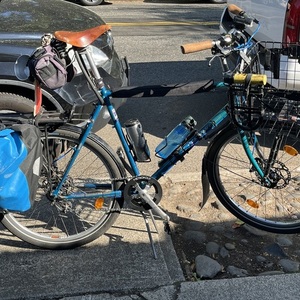 1993 SCOTT Chenango Teal and Green