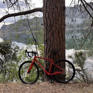 2023 Specialized Diverge Elite E5 Red