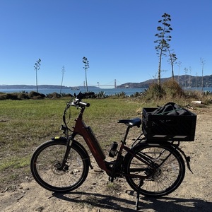 Rad Power Bikes RadCity 5 Red