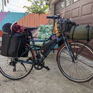 2021 Momentum iNeed Street Mid-Step Blue