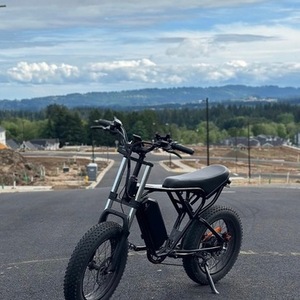 2025 Ridstar Q20 Black