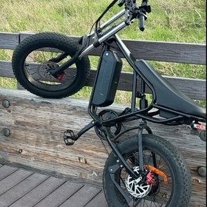 2025 Ridstar Q20 Black