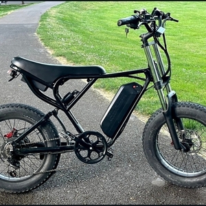 2025 Ridstar Q20 Black