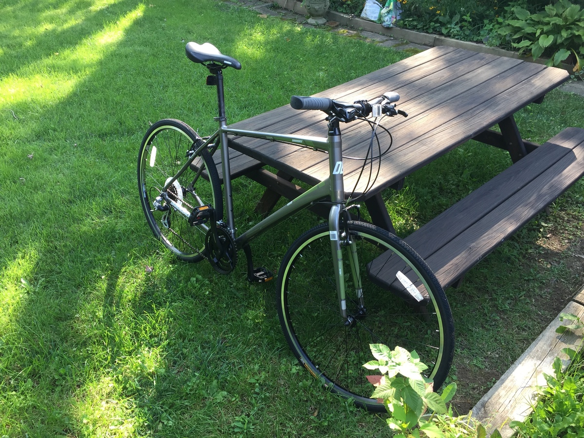 diamondback insight 1