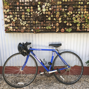 Trek Blue