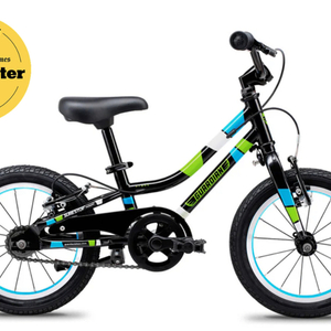 2024 Guardian 14 Inch Bike Black, Blue, and Green