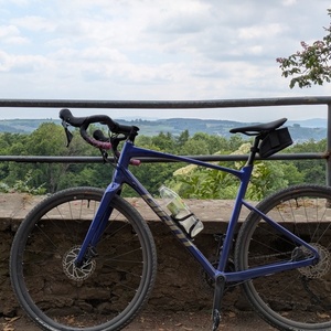 2024 Giant Revolt 1 Blue and Purple