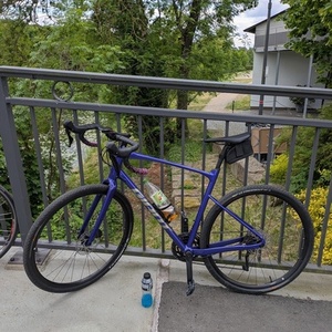 2024 Giant Revolt 1 Blue and Purple