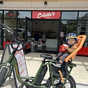 Rad Power Bikes Rad Runner 2 Green