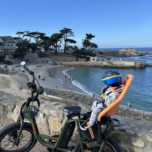 Rad Power Bikes Rad Runner 2 Green