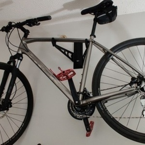 2021 Trek Dual Sport 2 Silver, gray or bare metal and Red