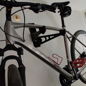 2021 Trek Dual Sport 2 Silver, gray or bare metal and Red