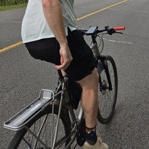 2021 Trek Dual Sport 2 Silver, gray or bare metal and Red