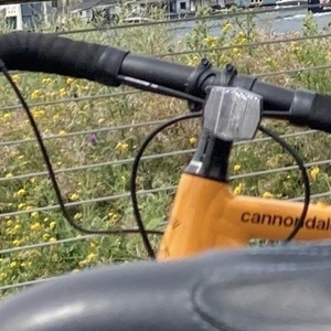 2023 Cannondale CDALE TOPSTONE 4 - 23 Yellow or Gold