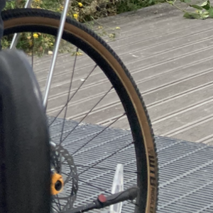 2023 Cannondale CDALE TOPSTONE 4 - 23 Yellow or Gold