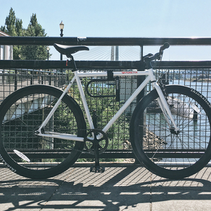 pure cycles original