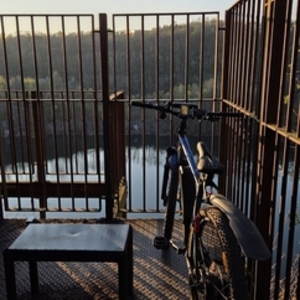 2022 All City Fischer montiert EM 1724.1 MTB Blue and Black