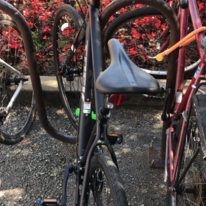 2017 Trek FX 3 Black