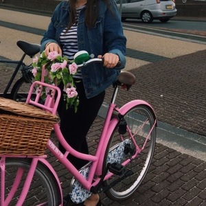 Subrosa shadow united Womens bike Pink
