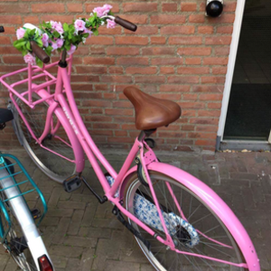 Subrosa shadow united Womens bike Pink