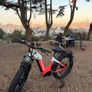 2025 Seemoon Red y White