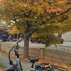 2025 Rad Power Bikes RadRunner Electric plus Silver, gray or bare metal and Black