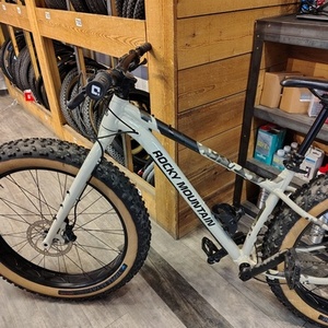 2022 Rocky Mountain Bicycles Blizzard A10 White