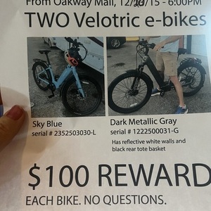 2025 Velotric Discovery 2 Silver, gray or bare metal