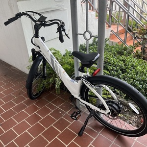 2025 Lectric eBikes Xpress 500 White