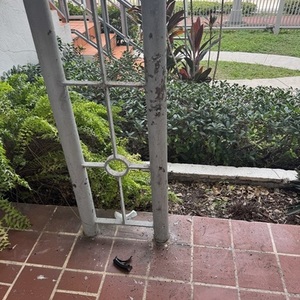 2025 Lectric eBikes Xpress 500 White