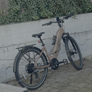 Aventón Level 3 Pink and Brown