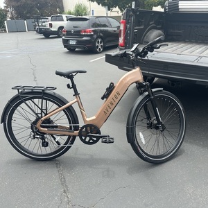 Aventón Level 3 Pink and Brown