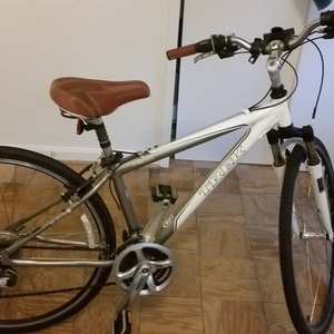 2010 Trek Silver, gray or bare metal and White