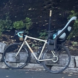 2020 State Bicycle Co. All-road Brown