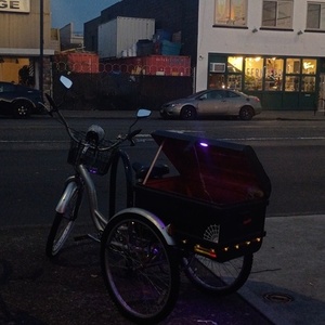 2025 Schwinn Merridan tricycle Silver, gray or bare metal and Black