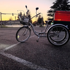 2025 Schwinn Merridan tricycle Silver, gray or bare metal and Black