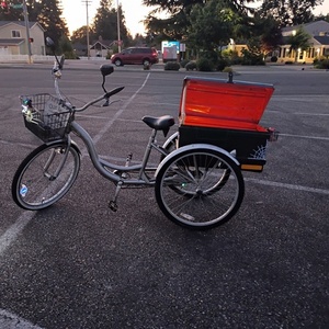 2025 Schwinn Merridan tricycle Silver, gray or bare metal and Black