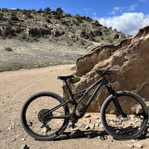 2022 Specialized STUMPJUMPER EXPERT Brown