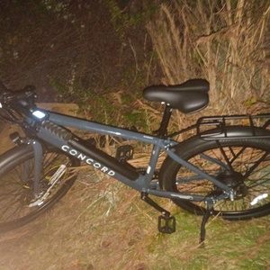 Concord Recreation Concord Silver, gray or bare metal