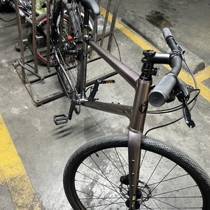 2025 Salsa Journeyer deore Silver, gray or bare metal